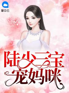 陆少三宝宠妈咪全文免费试读